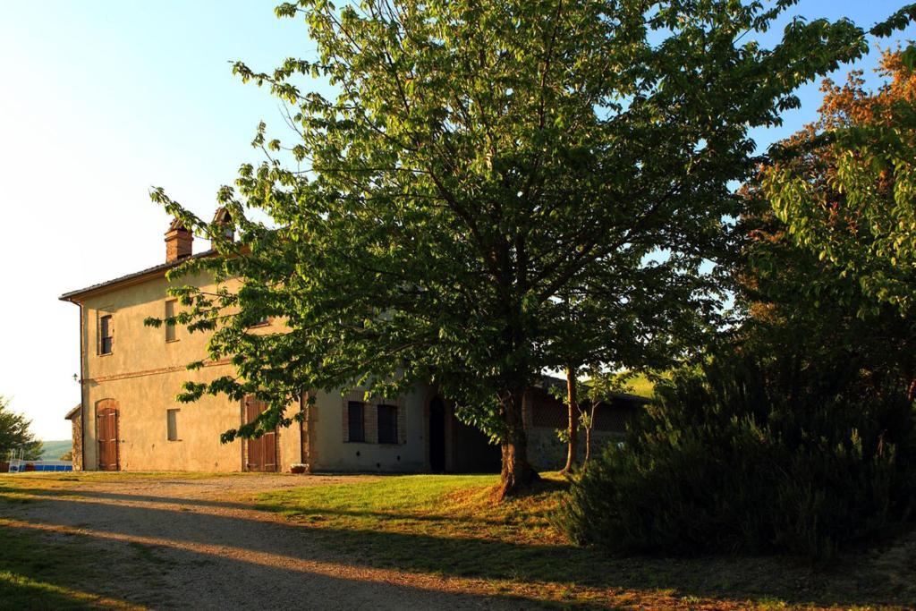 Tenuta Di Corbara Corbara  ห้อง รูปภาพ