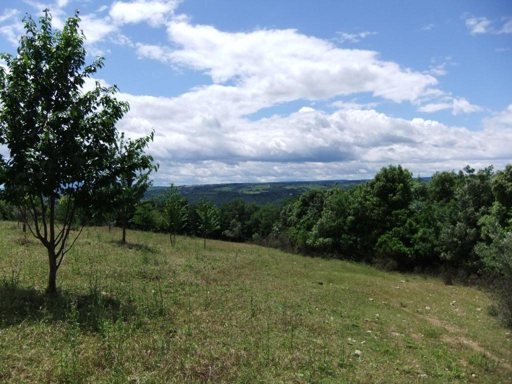 Tenuta Di Corbara Corbara  ภายนอก รูปภาพ