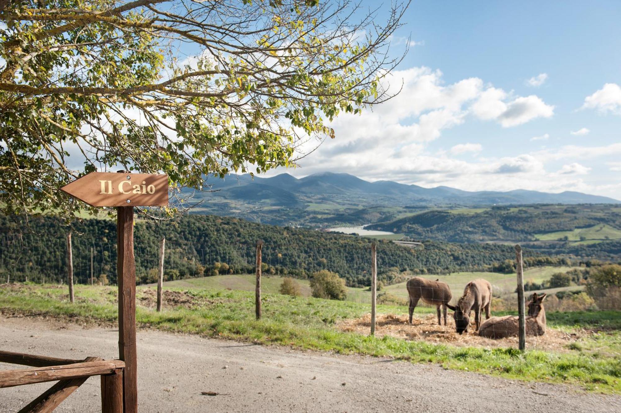 Tenuta Di Corbara Corbara  ภายนอก รูปภาพ