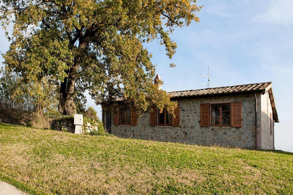 Tenuta Di Corbara Corbara  ภายนอก รูปภาพ
